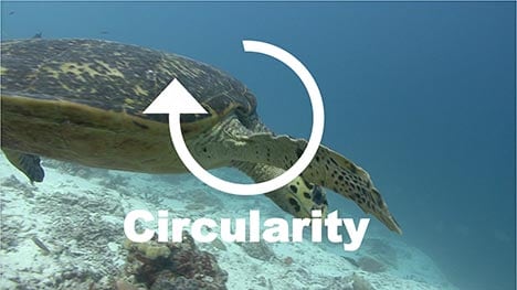 Trends Keynote Speaker